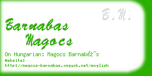 barnabas magocs business card